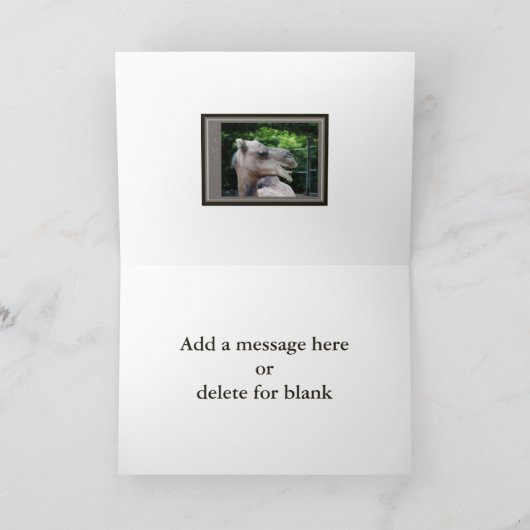 Dromedaris Kameel Wilde Dieren Kaart (Binnen)