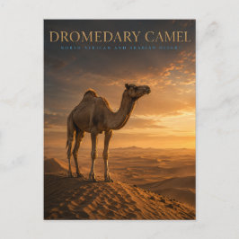 Dromedaris Woestijnduinen DIEREN Briefkaart