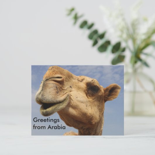 Dromedary camel briefkaart (Staand voorkant)
