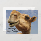 Dromedary camel briefkaart (Voorkant / Achterkant)