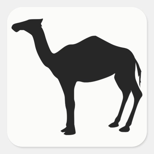 Dromedary Silhouette Vierkante Sticker (Voorkant)