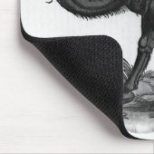 Dromedary, van 'Historial Animalium' Muismat (Hoek)