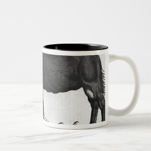 Dromedary, van 'Historial Animalium' Tweekleurige Koffiemok (Rechts)