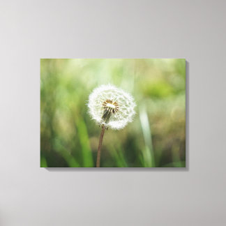 dromen canvas afdruk