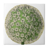 dromen - Dandelion Tegeltje (Voorkant)