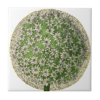  dromen - Dandelion Tegeltje