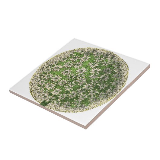 dromen - Dandelion Tegeltje (Zijkant)