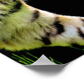 dromen dat het zijn motivatie bereikt poster (Hoek)