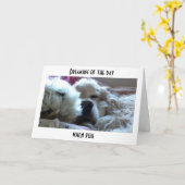 DROMEN DAT JE OUDER BENT DAN IK = VERJAARDAG KAART (Gele Bloem)