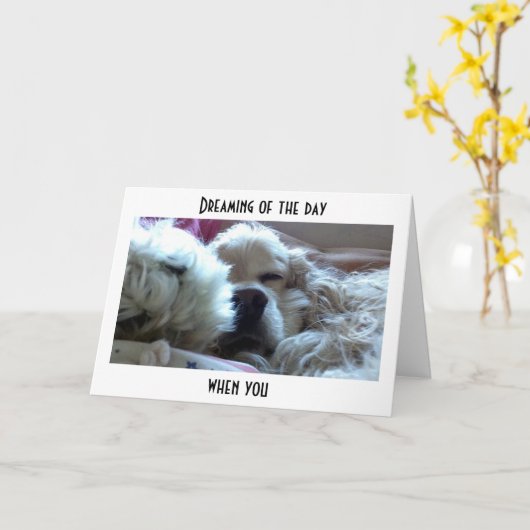 DROMEN DAT JE OUDER BENT DAN IK = VERJAARDAG KAART (Gele Bloem)