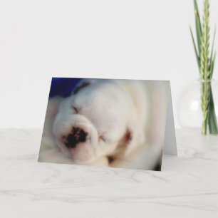 Dromen Engelse Bulldog Puppy Verjaardag Kaart