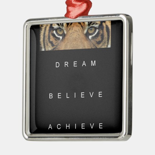 dromen geloven dat je motivatie prijsopgave hebt b metalen ornament (Links)