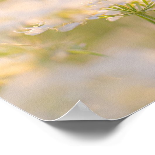 Dromen met de bloemen poster (Hoek)