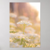 Dromen met de bloemen poster (Voorkant)