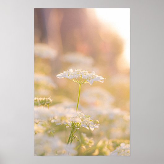 Dromen met de Bloemen Poster (Voorkant)