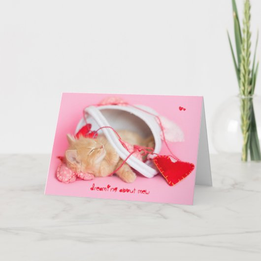 Dromen over een nieuw kitten feestdagen kaart (Voorkant)