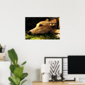Dromen Poster (Thuiskantoor)