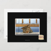 Dromen van Cheesburgers Briefkaart (Voorkant / Achterkant)