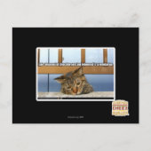 Dromen van Cheesburgers Briefkaart (Voorkant)