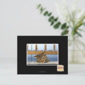 Dromen van Cheesburgers Briefkaart (Staand voorkant)