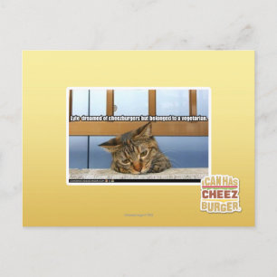 Dromen van Cheesburgers Briefkaart