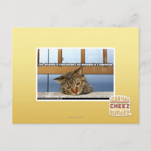 Dromen van Cheesburgers Briefkaart (Voorkant)