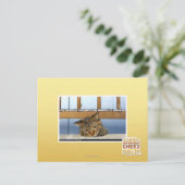 Dromen van Cheesburgers Briefkaart (Staand voorkant)