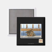 Dromen van Cheesburgers Magneet (Voorkant / Achterkant)