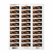 Dromen van de Kerstman Etiket (Full Sheet)