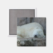 Dromen van ijsbergen magneet (Voorkant / Achterkant)