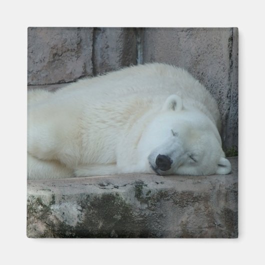 Dromen van ijsbergen magneet (Voorkant)