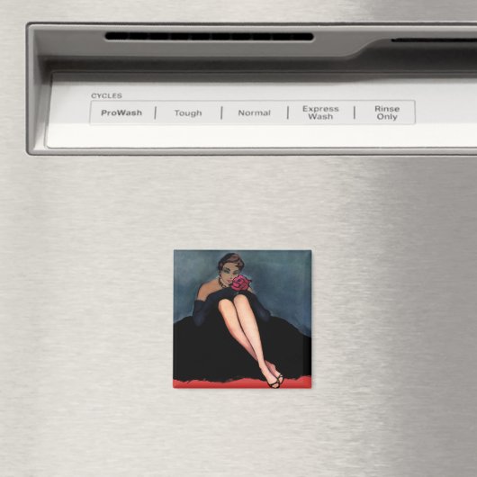 Dromen van je magneet (Insitu (Vaatwasser))