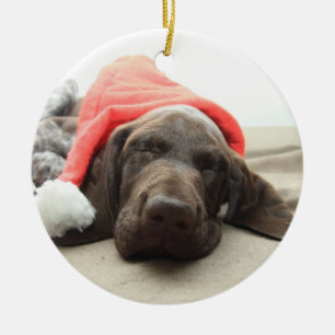 Dromen van Kerstman - Duitse Korthaar Puppy Keramisch Ornament