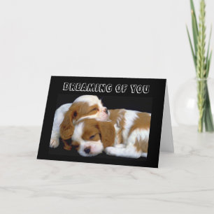 DROMEN VAN **MIJN TWIN** OP ONZE GROTE DAG! KAART