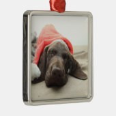 Dromen van Sinterklaas - Duitse Staande Hond Puppy Metalen Ornament (Rechts)