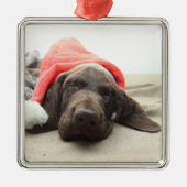 Dromen van Sinterklaas - Duitse Staande Hond Puppy Metalen Ornament (Voorkant)