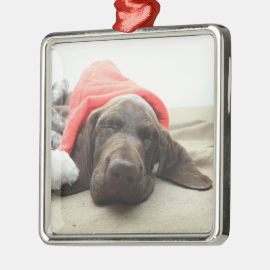 Dromen van Sinterklaas - Duitse Staande Hond Puppy Metalen Ornament (Links)