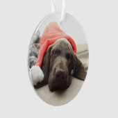 Dromen van Sinterklaas - Duitse Staande Hond Puppy Ornament (voorkant)
