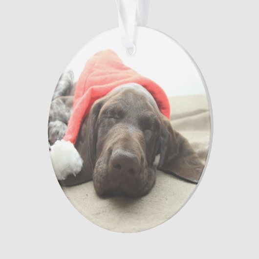 Dromen van Sinterklaas - Duitse Staande Hond Puppy Ornament (voorkant)