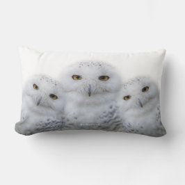 dromen Wisdom van Snowy Owls Family Kussen