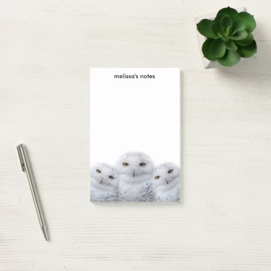 dromen Wisdom van Snowy Owls Family Post-it® Notes (Kantoor)