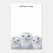 dromen Wisdom van Snowy Owls Family Post-it® Notes (Voorkant)