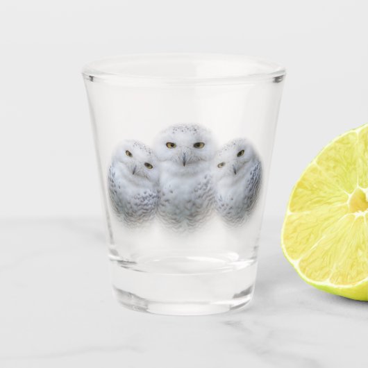 dromen Wisdom van Snowy Owls Family Shot Glas (Voorkant)