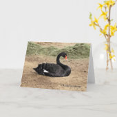 Dromend het Wenskaart van het Zee - Spatie Kaart (Gele Bloem)