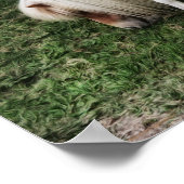 Dromend Mooie Pony Fotografische Kunstprint Poster (Hoek)