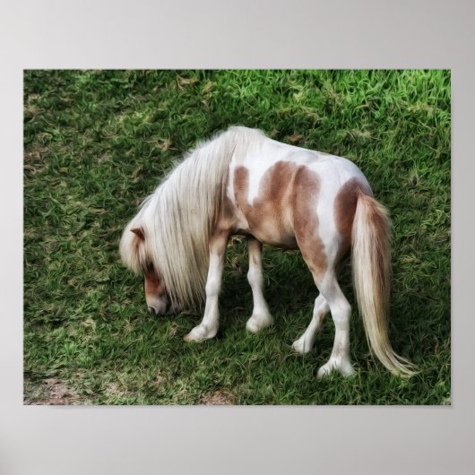 Dromend Mooie Pony Fotografische Kunstprint Poster (Voorkant)