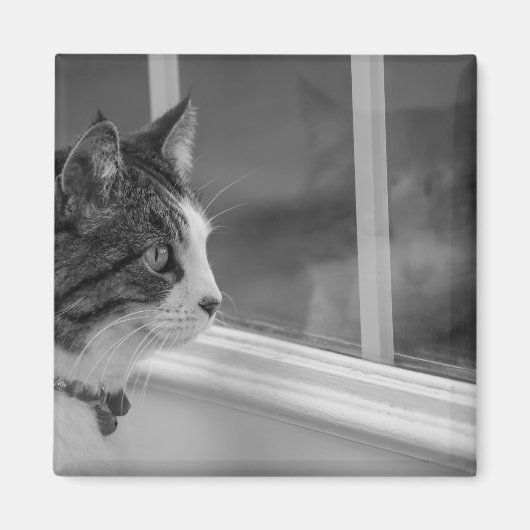Dromend van warmer weer grijswaarden magneet (Voorkant)