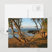 Dromenland Briefkaart (Voorkant / Achterkant)