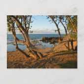 Dromenland Briefkaart (Voorkant)