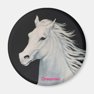 dromer magneet